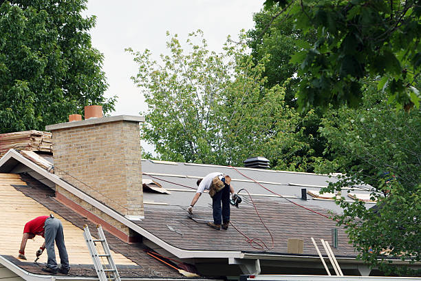 Roof Waterproofing Services in Erie, CO