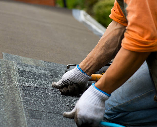 Best Roofing Contractor Near Me  in Erie, CO